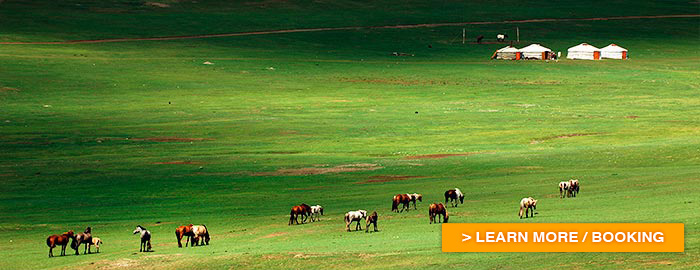 Mongolia on horseback