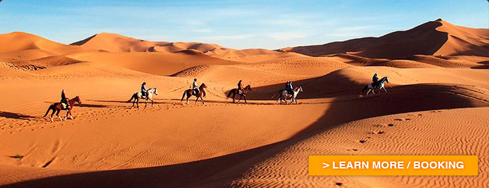 horseback in morocco