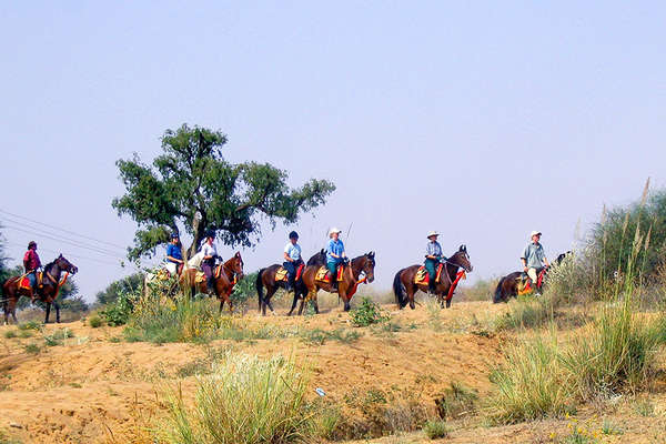 Riders in Shekhawati, India