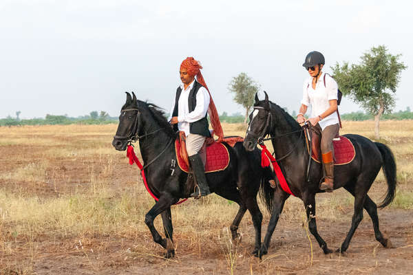 Two riders in India riding in a field in Rajasthan