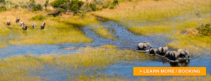 Karim laghouag in the okavango delta