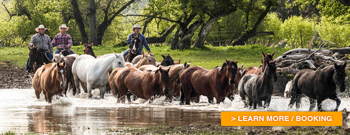 ranch in usa