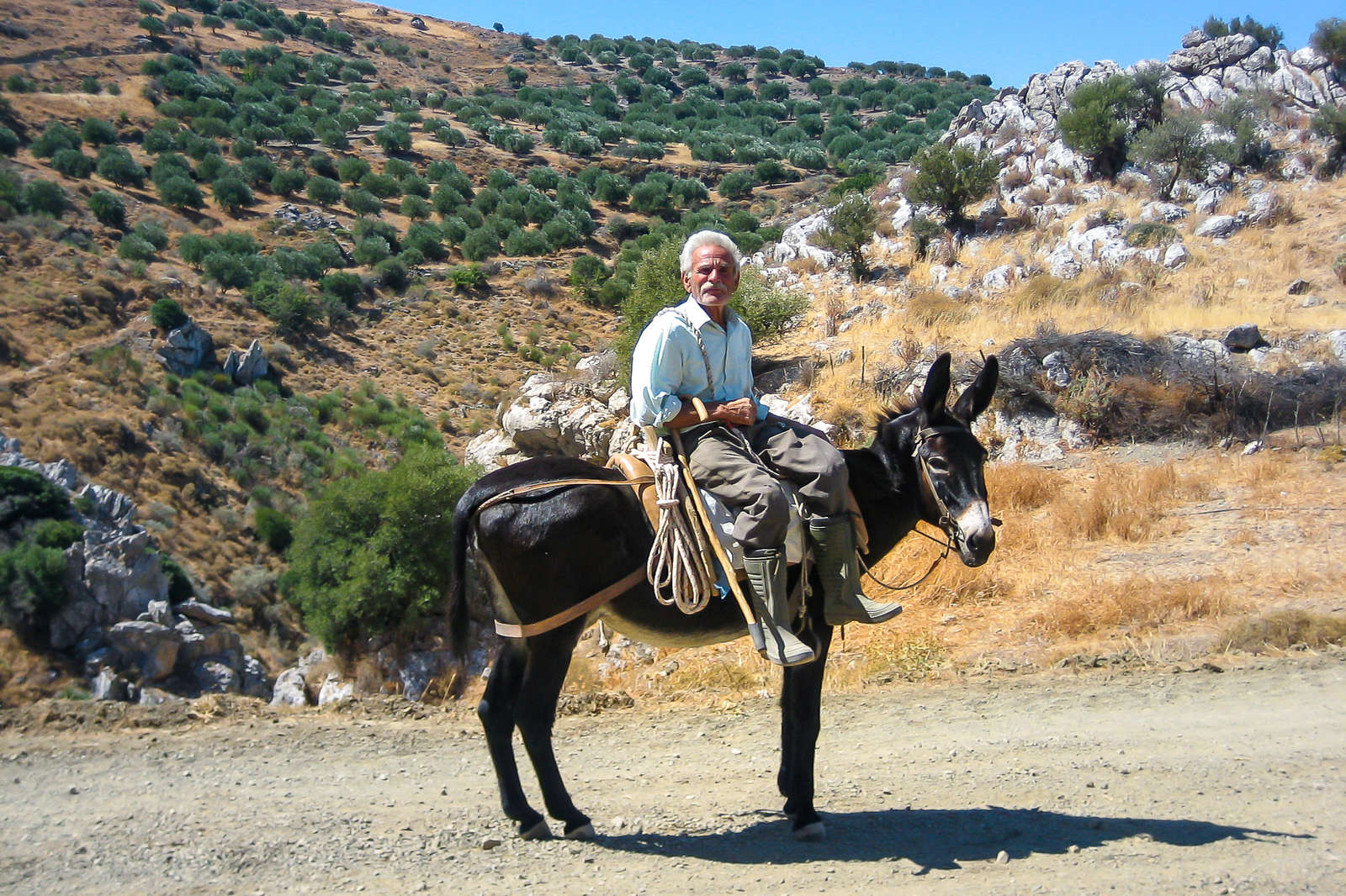 Discover Greece On A Holiday On Horseback 