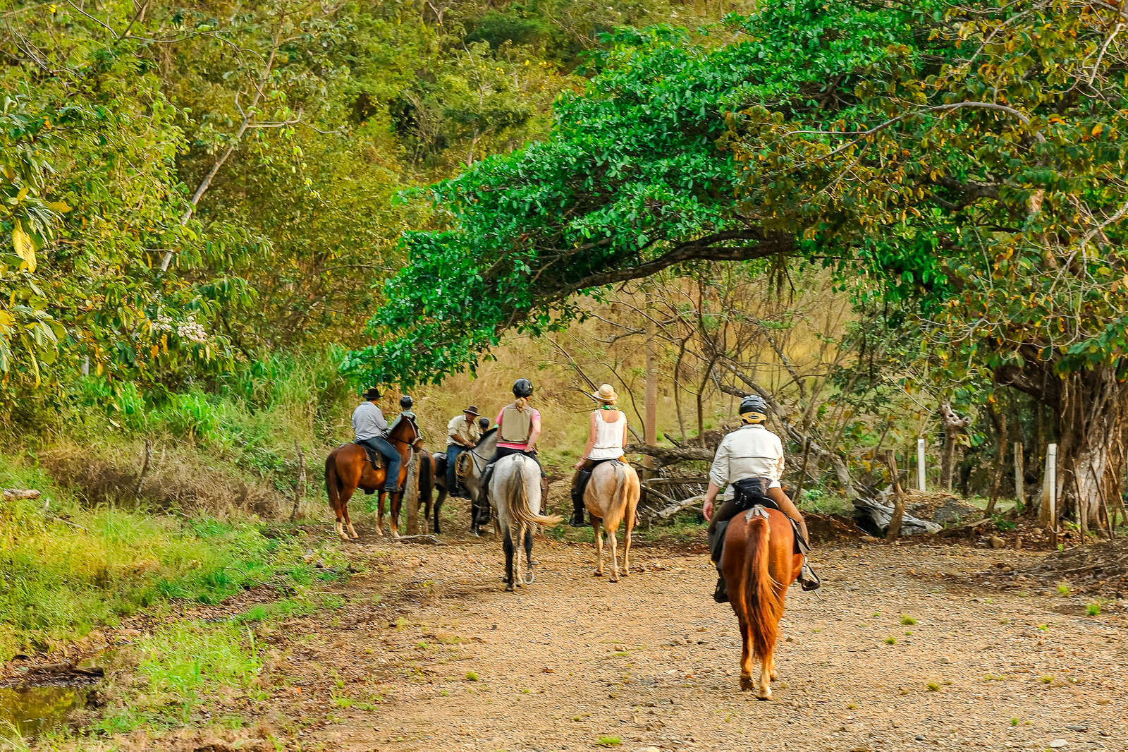 Join an adventurous coast-to-coast trail ride in Costa Rica | Equus ...