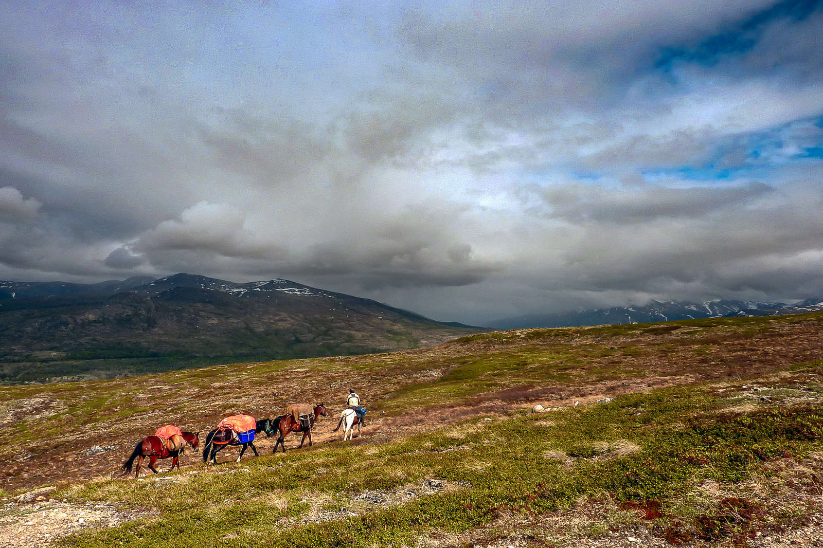 Journey into the wilds of Yukon on a horseback trail | Equus Journeys