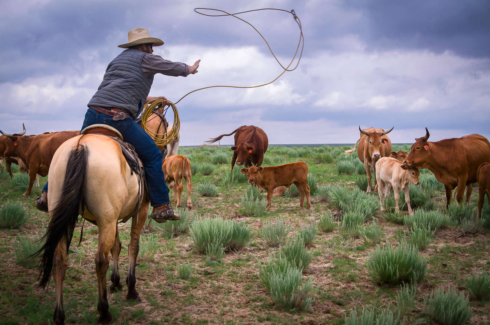 An Authentic American Cattle Ranch Holiday In Colorado Equus Journeys