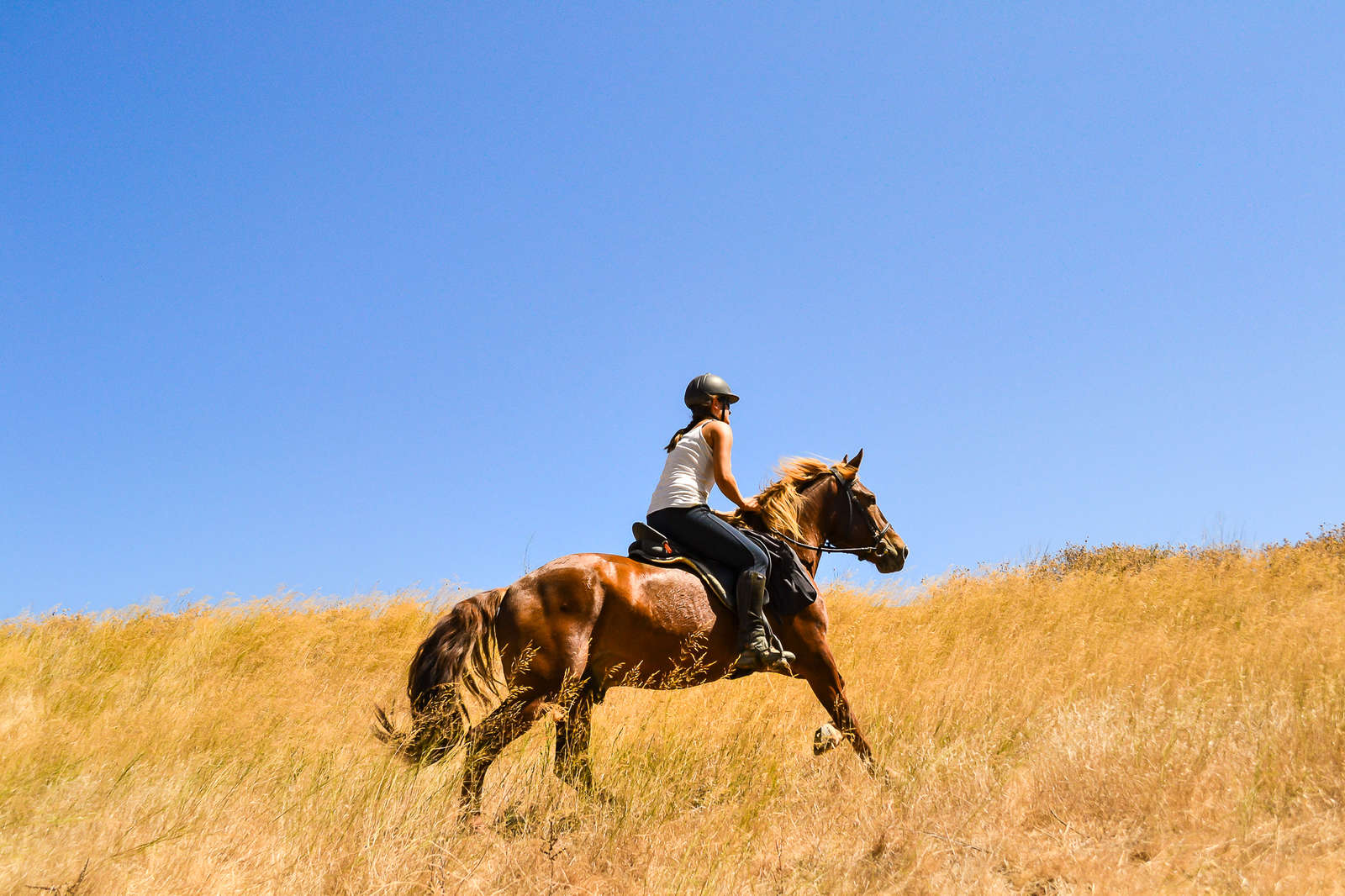 Explore Crete On A Centre-based Riding Holiday 