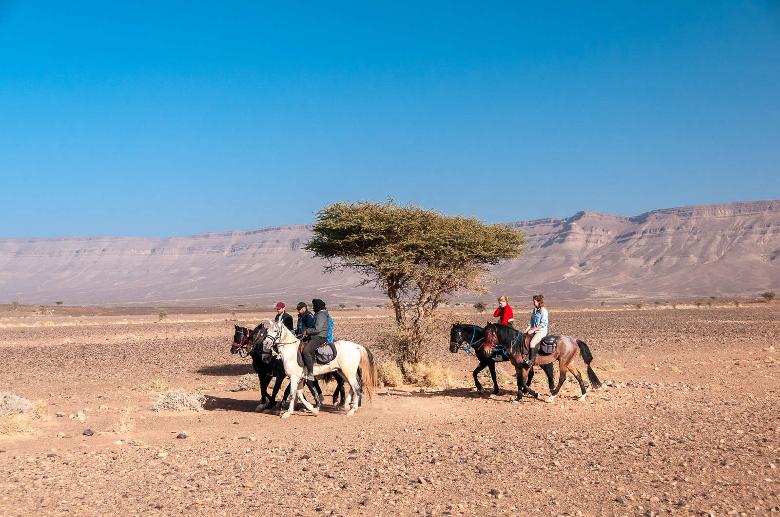 Join a trail ride through Morocco's Sahara desert | Equus Journeys