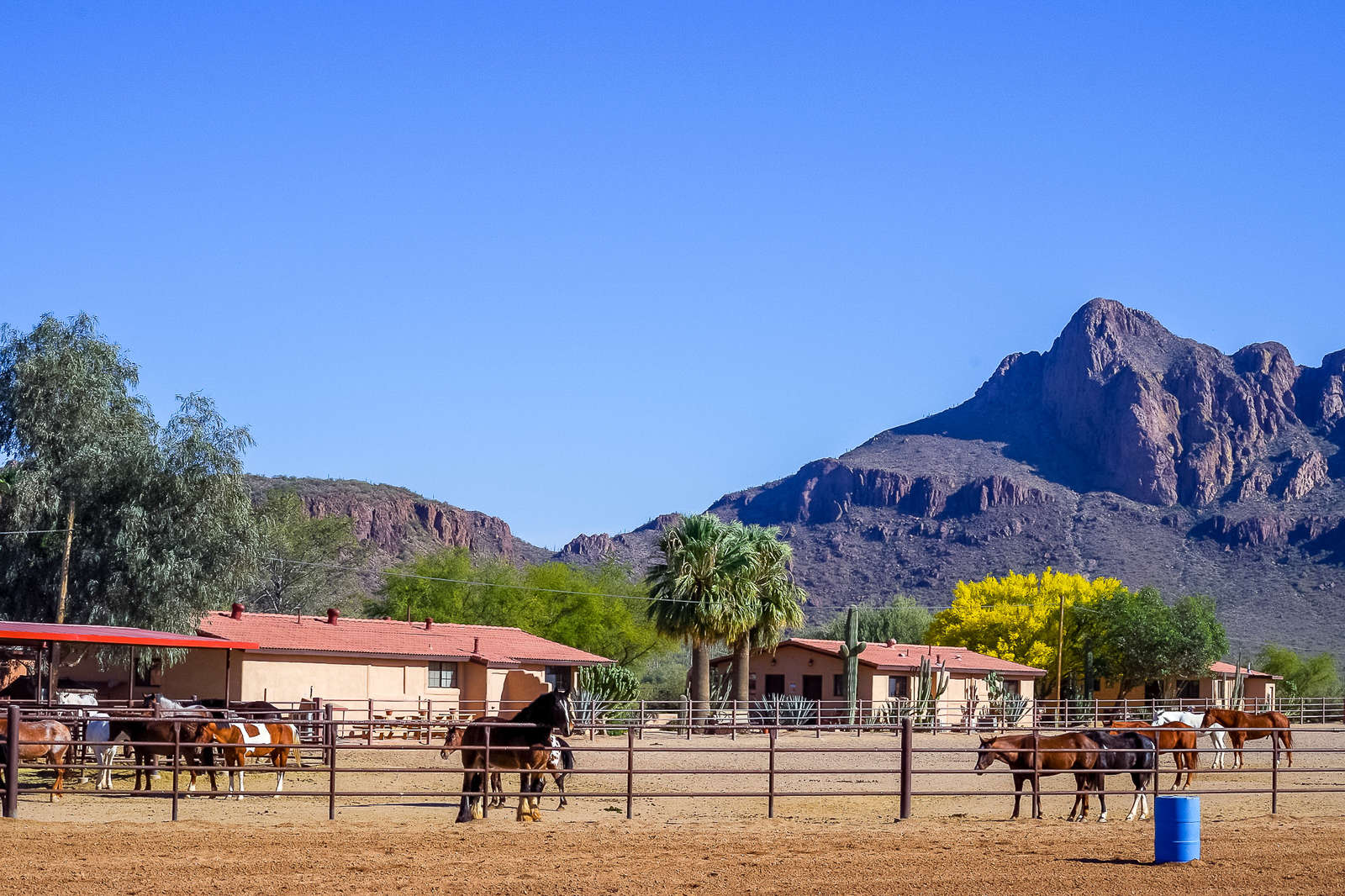 A Fun Ranch Holiday In Arizona In The United States Equus Journeys