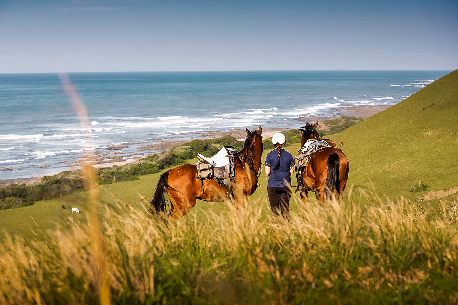 volunteering-with-horses-on-the-wild-coast-south-africa-equus-journeys