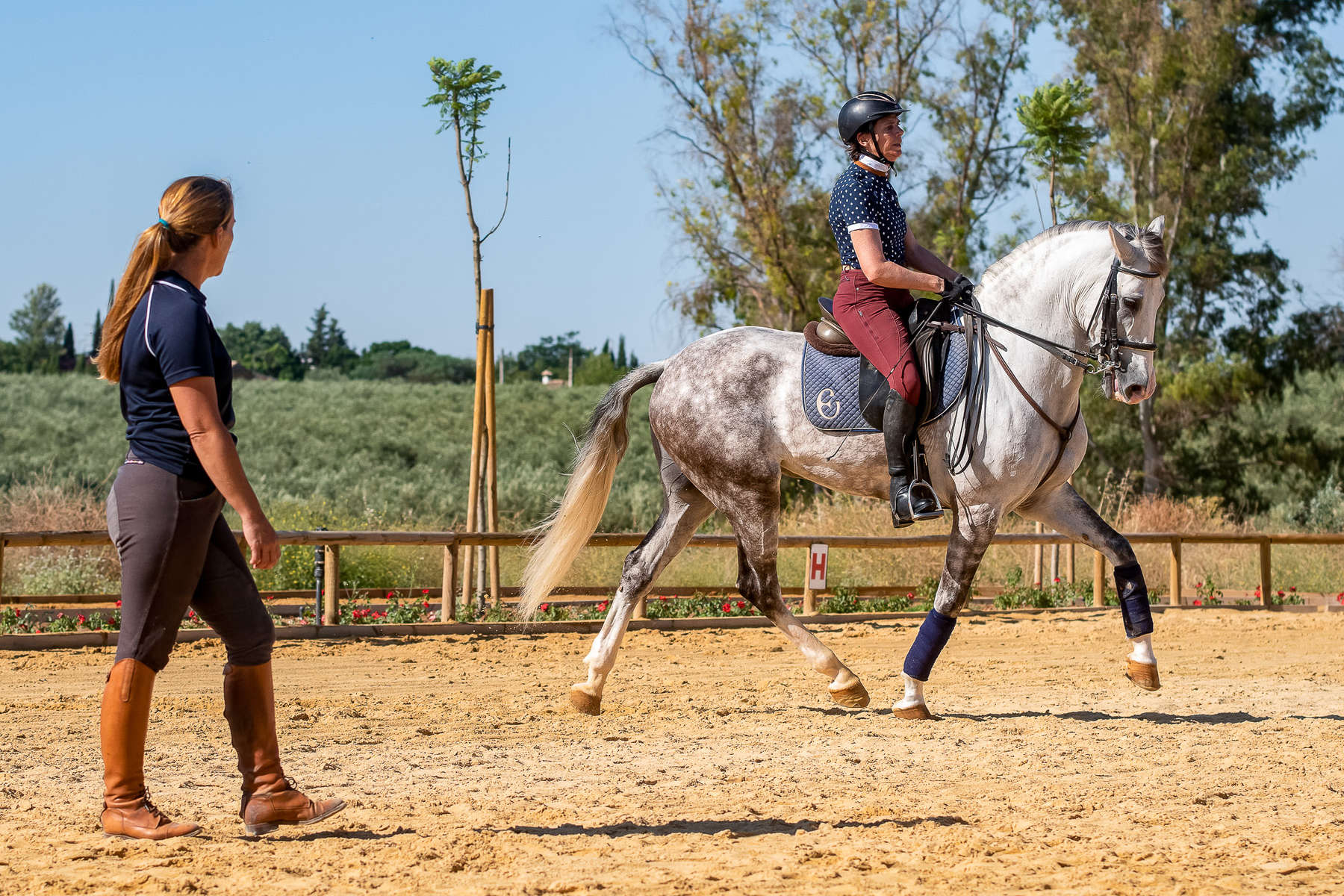 Our Top 10 Ladies Horse Riding Jodhpurs: Elevate Your Ride – Just Horse  Riders