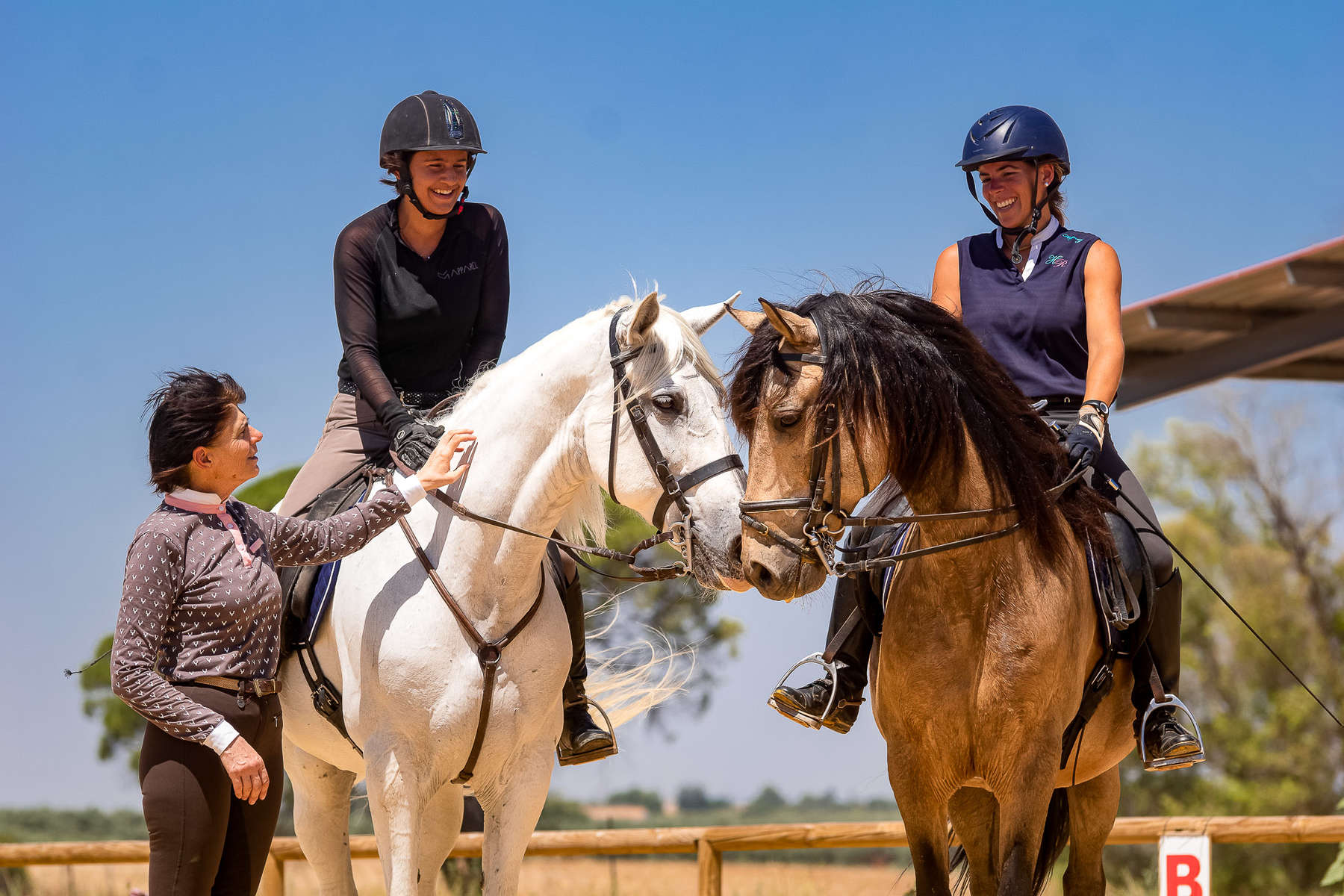 Combine trail riding and dressage lessons in Spain | Equus Journeys