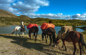 Rider and pack horses in Yukon, Canada