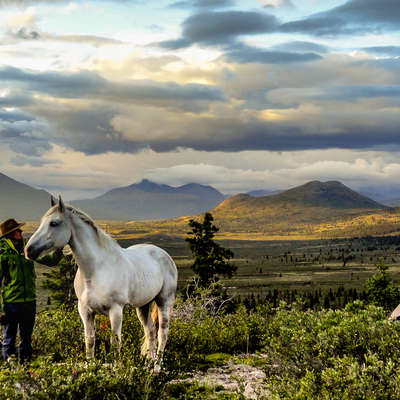 Horse and rider enjoying a moment in Canada