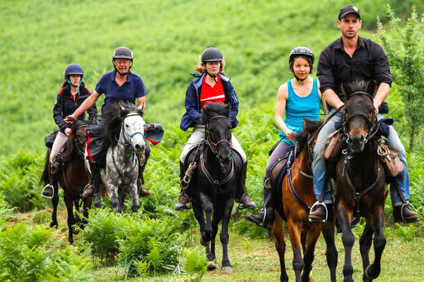 Group of riders cantering Albania