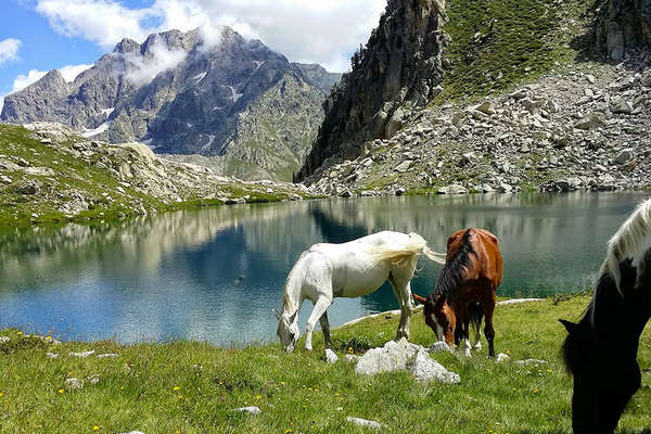 Horse riding trail in the Alps in France
