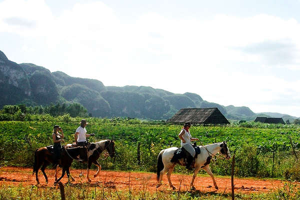 Horse riding trails through western Cuba