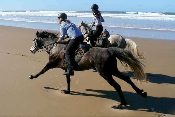 Riding safari and trail riding holidays in South Africa | Equus Journeys