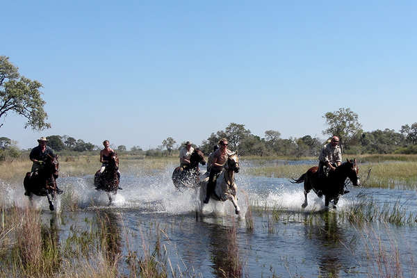 Horseback safari in botswana