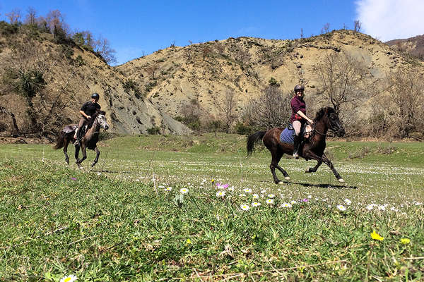 Rider cantering in Albania on a trail ride 