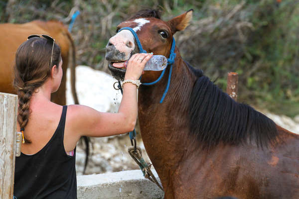 Rider giving water to her horse during a trail riding holiday