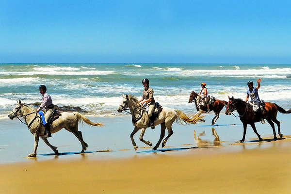 Wild Coast beach horseback trail ride